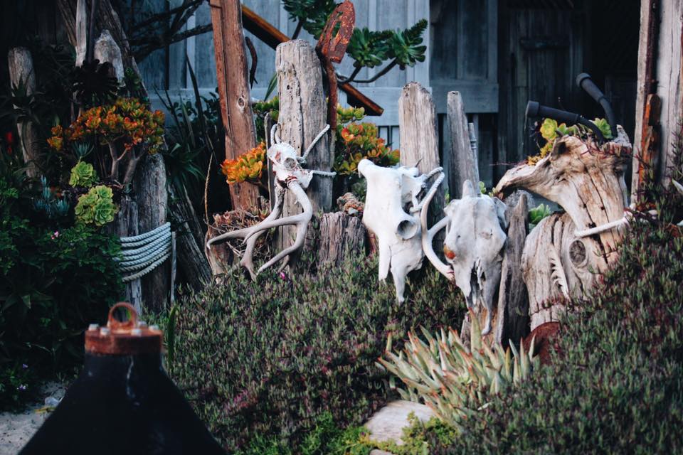 KR 36 Online Fedorko Life and Death