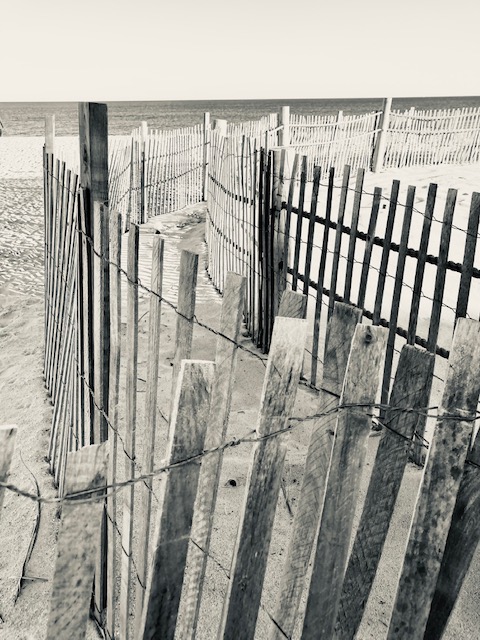 Black and white or sepia photo of a wooden fence on the dunes of the NJ shore, with ocean in distance